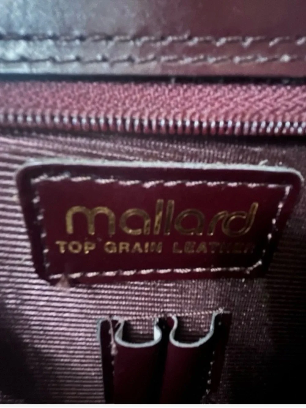 Mallard sleek men